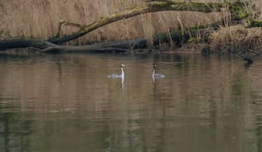 Klik hier om BinnensteBuiten van 25 februari te bekijken.