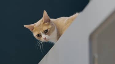 Klik hier om BinnensteBuiten van 2 maart te bekijken.