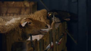 Klik hier om BinnensteBuiten van 5 maart te bekijken.