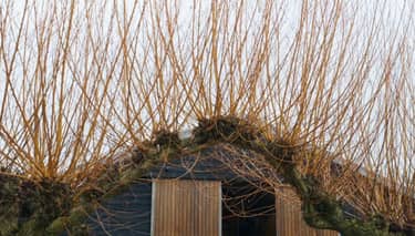 Klik hier om BinnensteBuiten van 16 maart te bekijken.