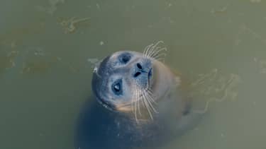 Klik hier om BinnensteBuiten van 2 april te bekijken.