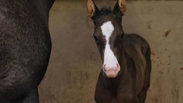 Klik hier om BinnensteBuiten van 3 april te bekijken.