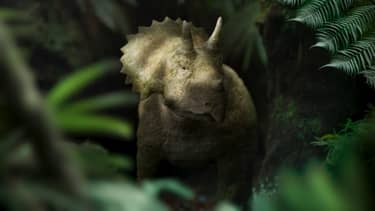 Klik hier om Walking with Dinosaurs van 3 mei te bekijken.