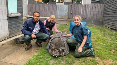 De dierenarts van Yorkshire