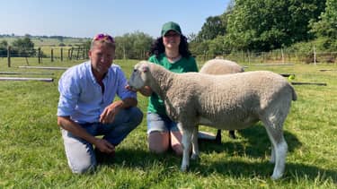 Klik hier om De dierenarts van Yorkshire van 21 april te bekijken.