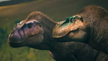 Klik hier om Walking with Dinosaurs van 24 mei te bekijken.