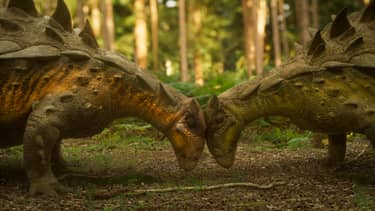 Klik hier om Walking with Dinosaurs van 17 mei te bekijken.