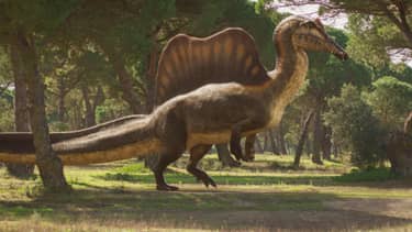 Klik hier om Walking with Dinosaurs van 10 mei te bekijken.