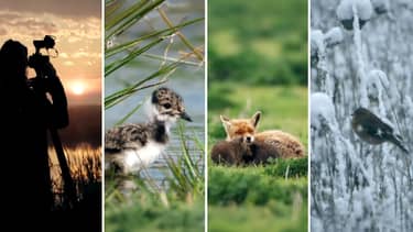 Klik hier om Vroege vogels van 5 april te bekijken.
