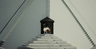 Klik hier om Close Up van 6 april te bekijken.