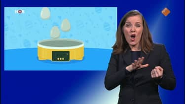Klik hier om NOS Jeugdjournaal met Gebarentaal van 4 april te bekijken.