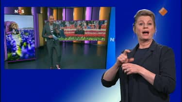 Klik hier om NOS Jeugdjournaal met Gebarentaal van 7 april te bekijken.