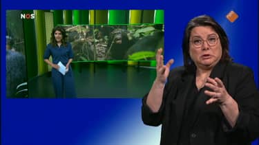 Klik hier om NOS Jeugdjournaal met Gebarentaal van 11 april te bekijken.