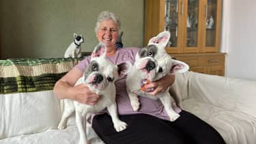 De dierenarts van Yorkshire