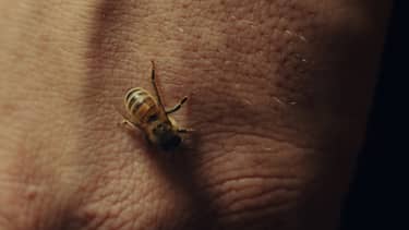 Klik hier om NPO Doc van 15 april te bekijken.