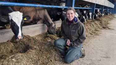 De dierenarts van Yorkshire