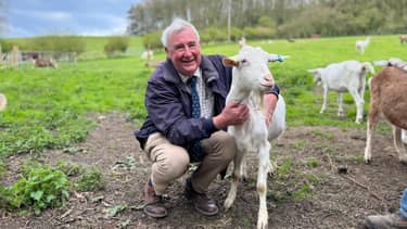 De dierenarts van Yorkshire