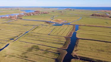 Klik hier om Vroege vogels van 19 april te bekijken.