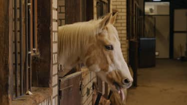 Klik hier om BinnensteBuiten van 28 april te bekijken.