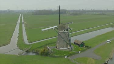 Klik hier om Vroege vogels van 10 mei te bekijken.