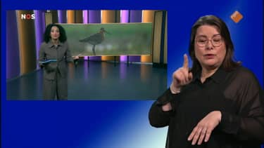 NOS Jeugdjournaal met Gebarentaal
