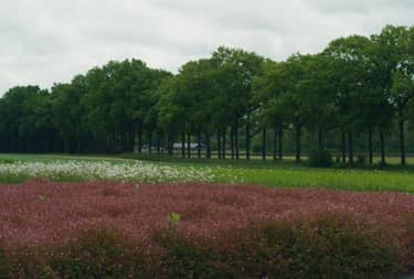 Klik hier om BinnensteBuiten van 28 mei te bekijken.