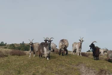 Klik hier om BinnensteBuiten van 26 mei te bekijken.