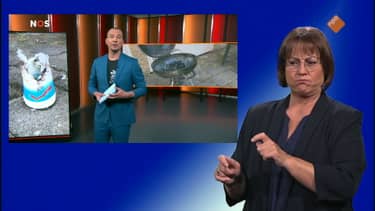 NOS Jeugdjournaal met Gebarentaal