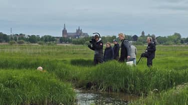 Klik hier om Vroege vogels van 7 juni te bekijken.