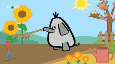 Klik hier om Ellie de olifant van 17 juli te bekijken.