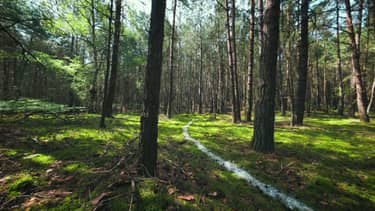 Klik hier om Wolven van 5 september te bekijken.
