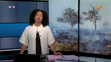 NOS Journaal in Makkelijke Taal