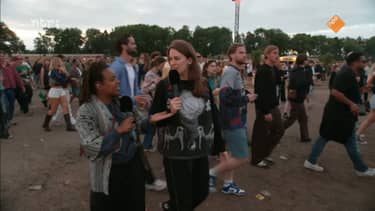 Lowlands