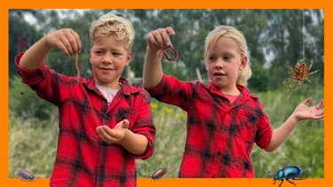 Klik hier om Het landje van Tim van 18 oktober te bekijken.