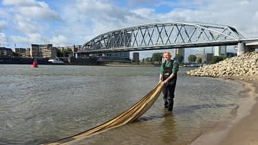 Klik hier om Vroege vogels van 18 oktober te bekijken.