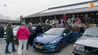 Klik hier om Frysl&acirc;n dok van 24 oktober te bekijken.